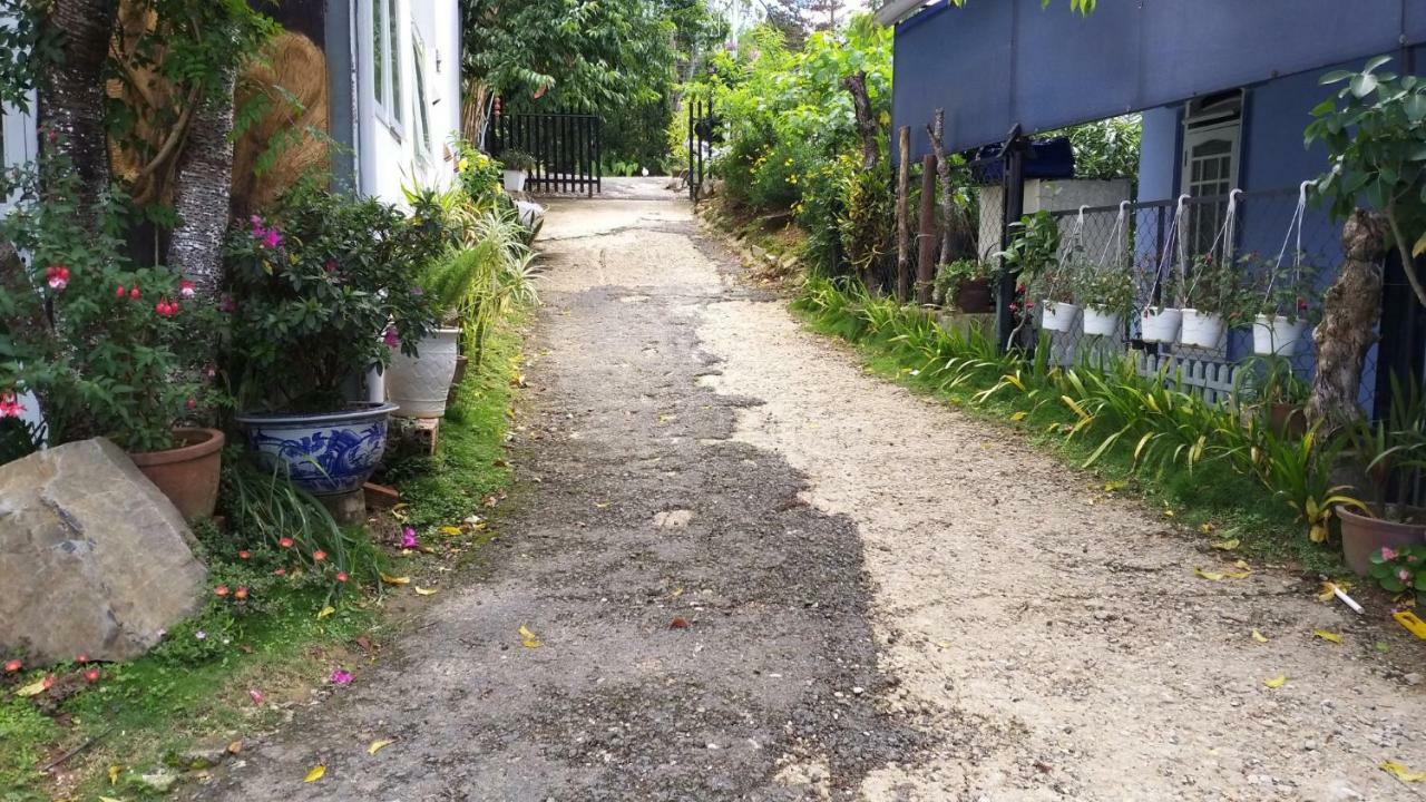 Homestay Doc Tinh Dalat Luaran gambar